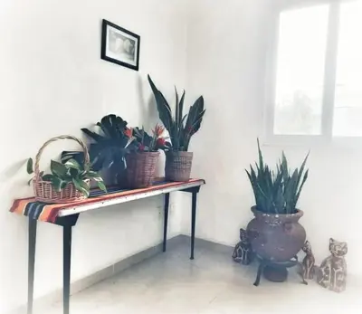 Plano de villa frida con alberca