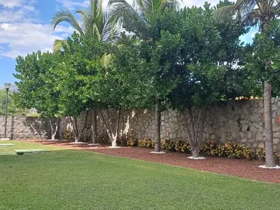 Jardín al aire libre en Excellent apartment 100 meters from the beach!