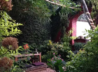 Jardín al aire libre en Big Garden, Big Patio in Centro - CASA311