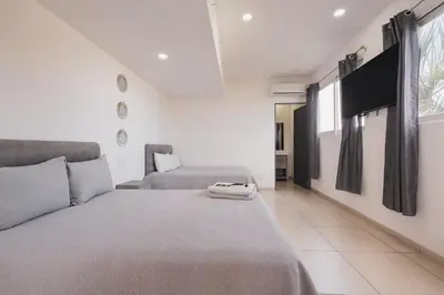 Plano de Casa Ferlioni