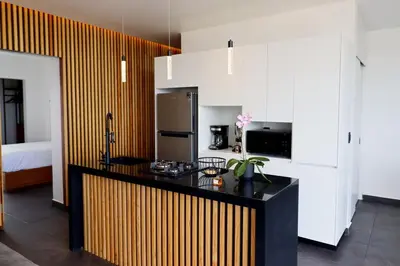 Plano de Palmas Luxury Apartment 103
