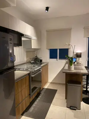 Una cocina o zona de cocina en Departamento en Boca del Rio Ver