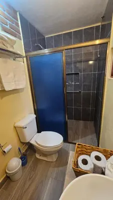 Un baño de Suite el Ángel #5