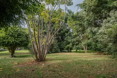 Jardín al aire libre en Arke Tepoztlan