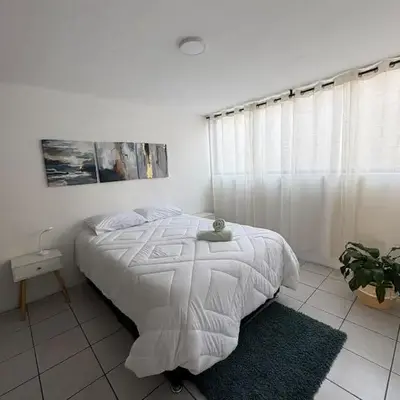 Cozy apartment