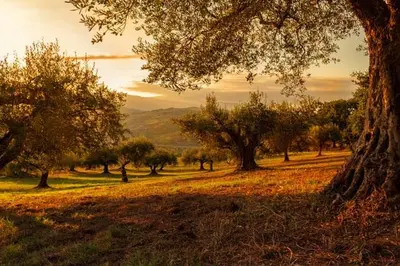 Paisaje cerca de este apartamento