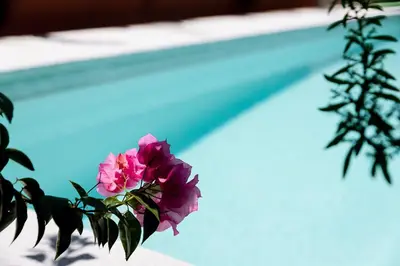 Piscina en o cerca de Casa Hibiscus Zaachila 2 A
