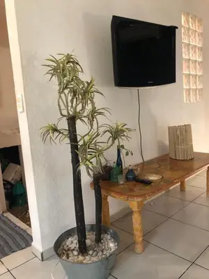 Una televisión o centro de entretenimiento en Marina diamante 04
