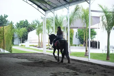 Clientes alojados en Glamping Majagua