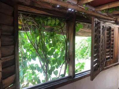Jardín al aire libre en Bokané