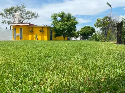 Jardín al aire libre en 