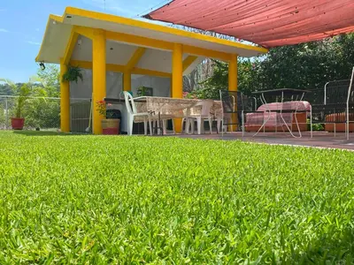 Jardín al aire libre en 