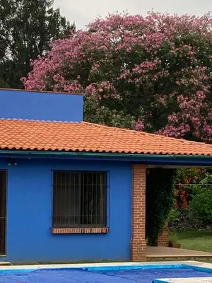 Edificio en el que se encuentra la casa o chalet