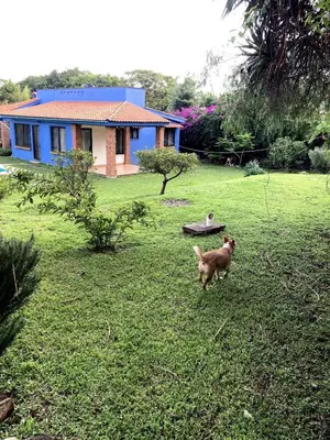 Mascotas con sus dueños en The Weiss House - Mountain, Pool and Rest