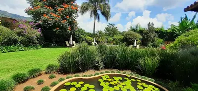 Jardín al aire libre en Areté
