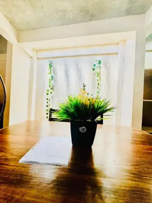 Plano de Casa Tachu
