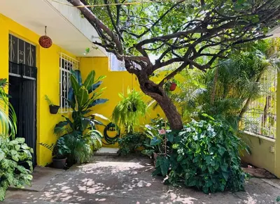Jardín al aire libre en Casa Icaco