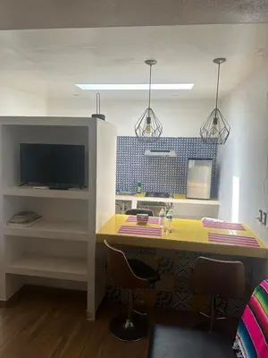 Una cocina o zona de cocina en The best view of the river apartments garden