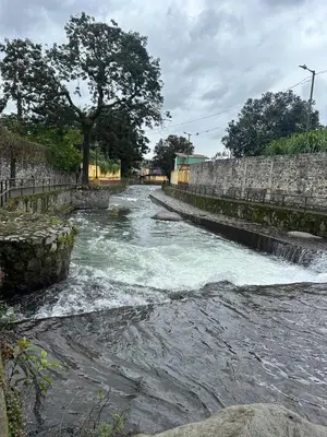 Paisaje cerca de este apartamento