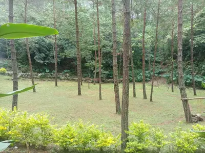 Jardín al aire libre en Hotel Aguila Real