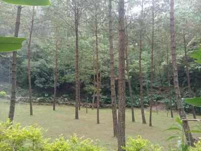 Jardín al aire libre en Hotel Aguila Real