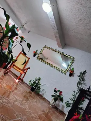 Plano de Quiet and beautiful apartment