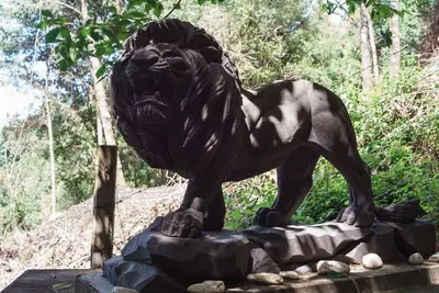 Animales en el apartamento o alrededores