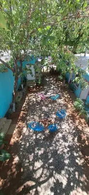Jardín al aire libre en Flow De Lupe