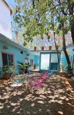 Jardín al aire libre en Flow De Lupe