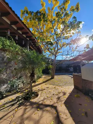 Plano de Casa Grande con Alberca en San Gaspar