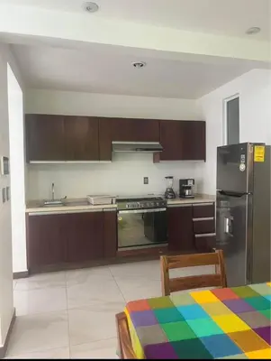 Una cocina o zona de cocina en Departamento WOLF