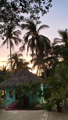 Jardín al aire libre en Shalom Backpacker Hostel