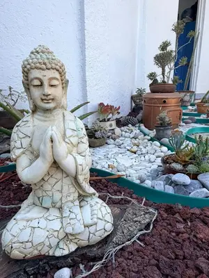 Plano de Silencio y naturaleza en Cuernavaca