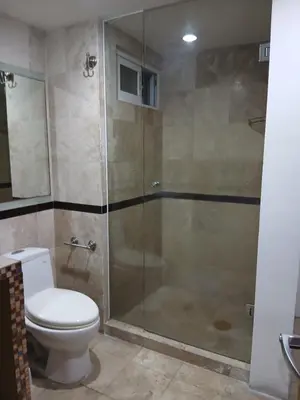 Un baño de Elefante blanco