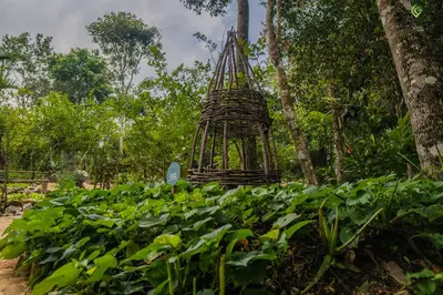 Jardín al aire libre en Agarthi