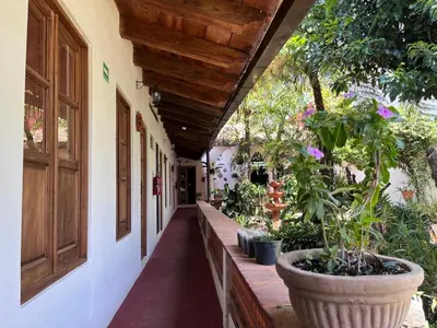 Jardín al aire libre en Hotel Boutique Casa Xicotl