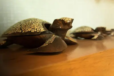 Animales en el apartamento o alrededores