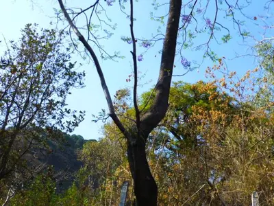 Paisaje cerca de este chalet de montaña