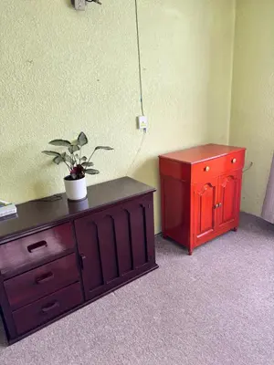 Plano de Casa Verde
