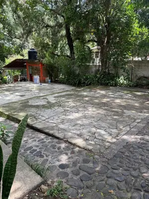 Jardín al aire libre en House 3 blocks from downtown
