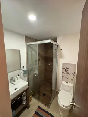 Un baño de Casita