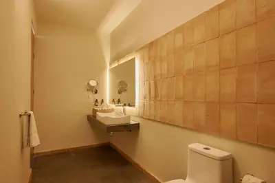 Un baño de Lar Syrah