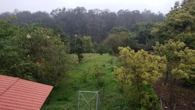 Paisaje cerca de esta casa o chalet