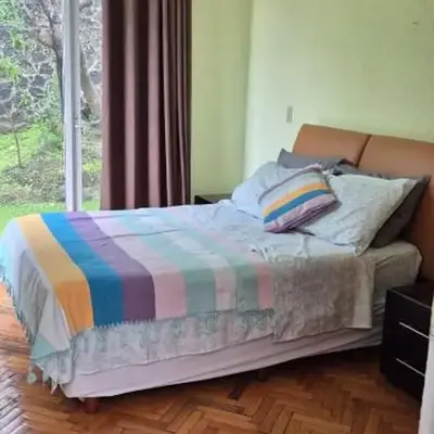 Casa Shine