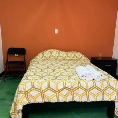 Casa tulipán