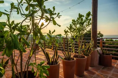 Plano de Ocean Views Amazing Rooftop