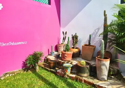 Jardín al aire libre en Casa Cactus - Amplia Casa de 2-Habitaciones con Jardín y Alberca