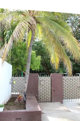 Jardín al aire libre en Casa Santa Cruz 4 bdrm house-Pool & walk to Beach