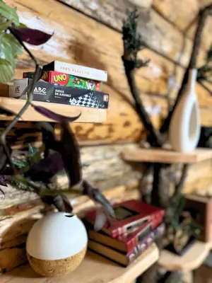 Biblioteca en el apartamento