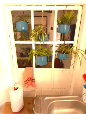 Un baño de Balcón de Frida